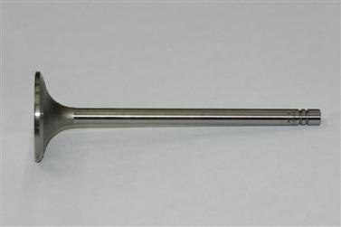 S. B. International, Inc. 01631S