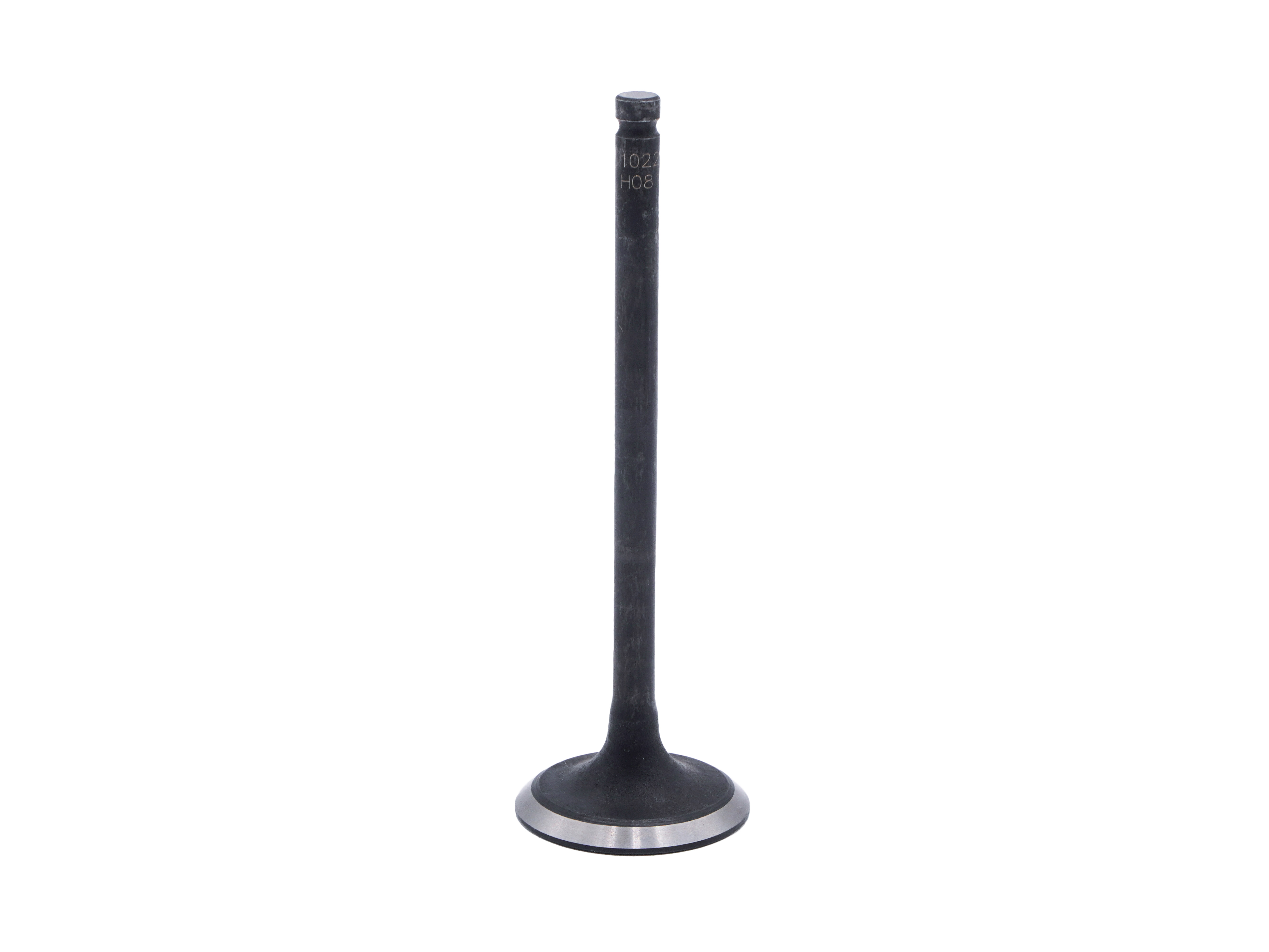 S. B. International, Inc. 10224