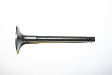 S. B. International, Inc. 13364