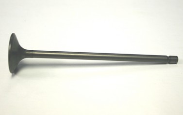 S. B. International, Inc. 13443